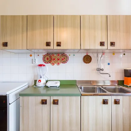 Mica * 茨里克韦尼察